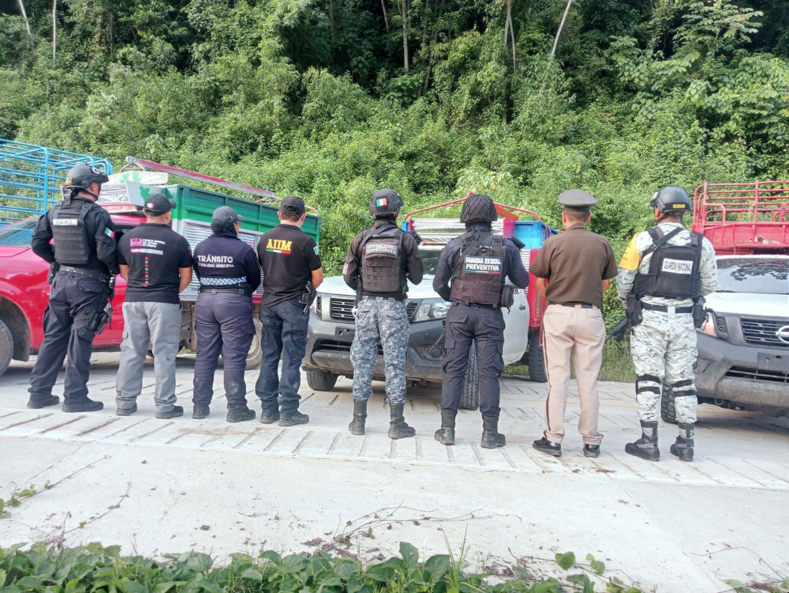 En operativo interinstitucional aseguran ocho vehículos con reporte de robo en Las Margaritas 