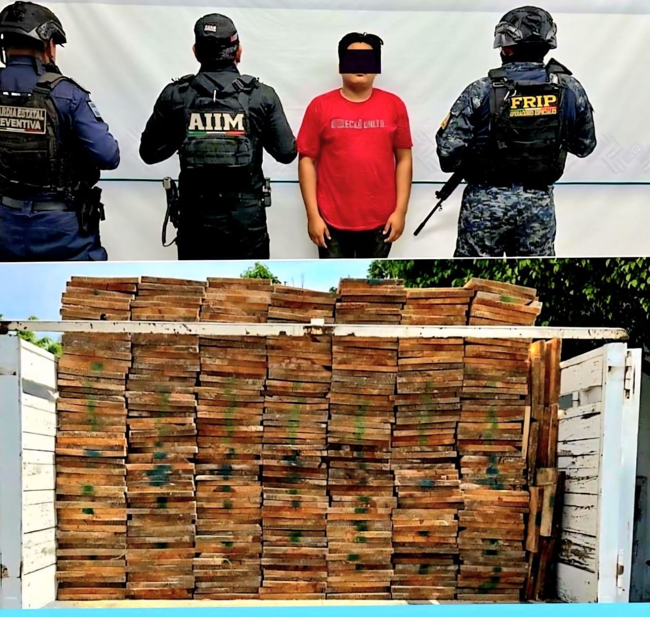 En Tuxtla Gutiérrez, SSP y FGE detienen a presunto responsable del delito de ecocidio