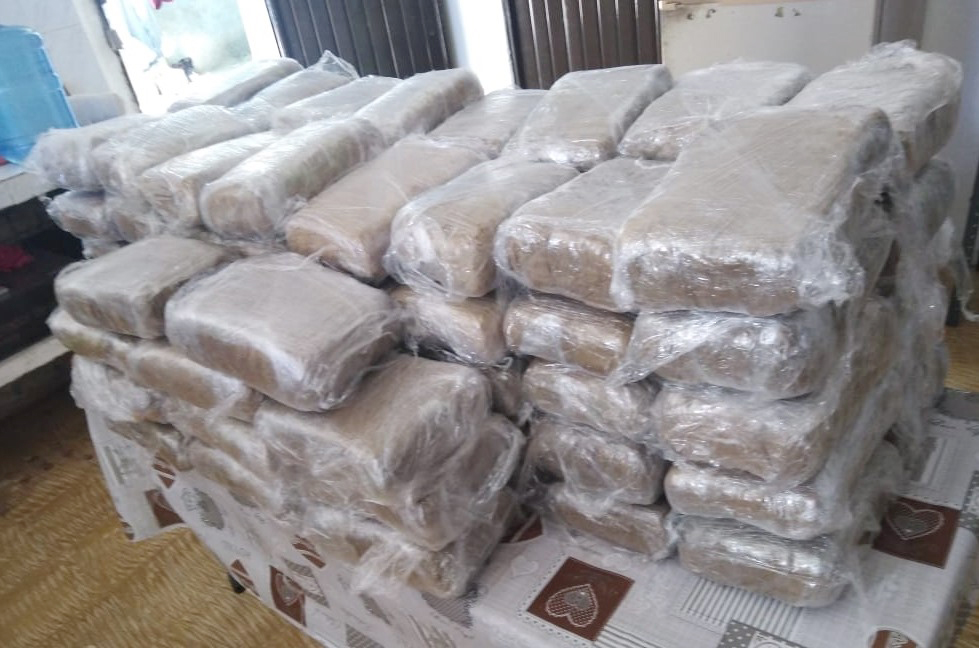 SSP aseguró cargamento de droga procedente de Oaxaca