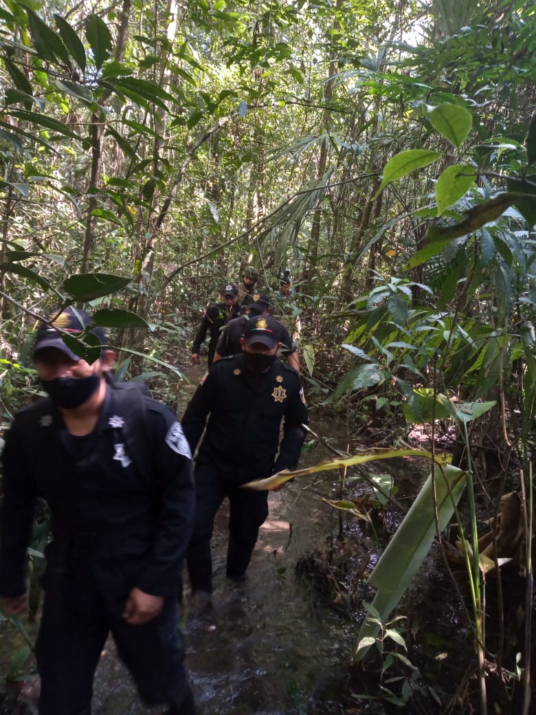 SSP realiza operativos para proteger la flora y  fauna de la Selva Lacandona