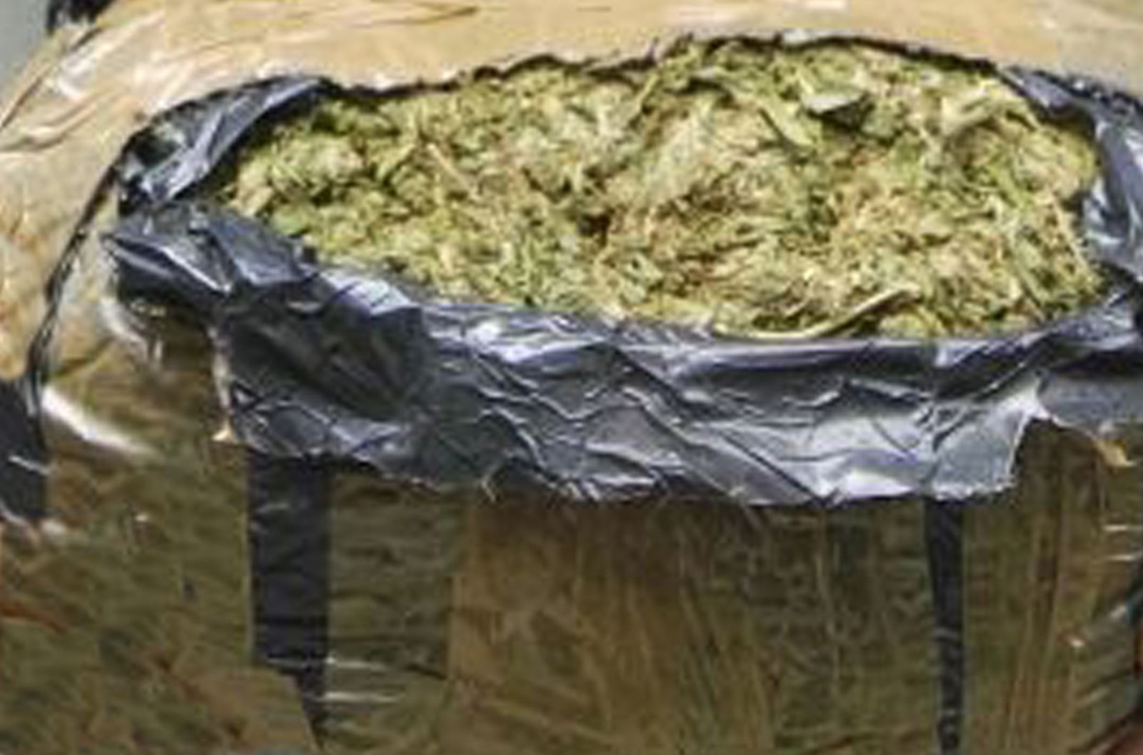 SSP a través del grupo EROE, asegura un kilógramo de marihuana