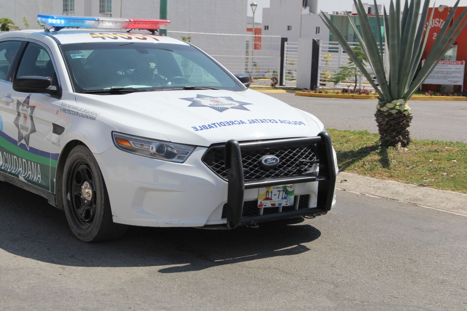 SSP en dos acciones paralelas asegura armas de fuego
