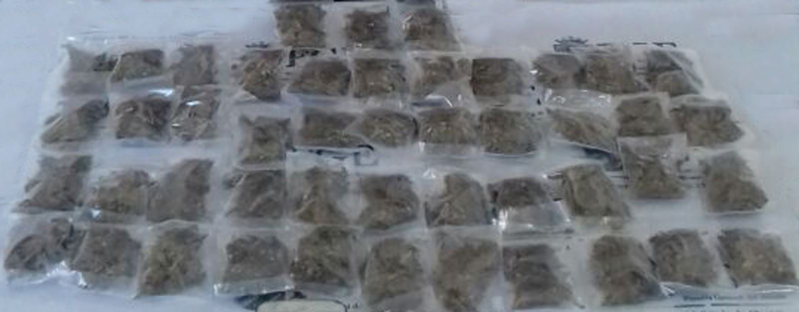 SSP asegura drogas en Palenque y Comitán